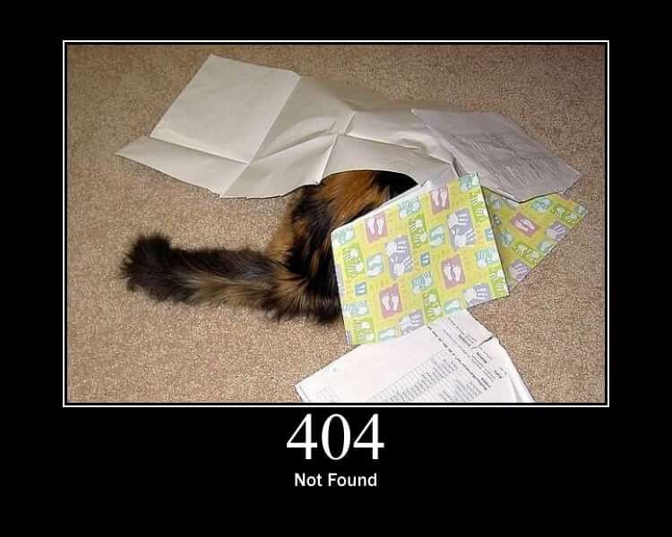 404 No Tickets Found